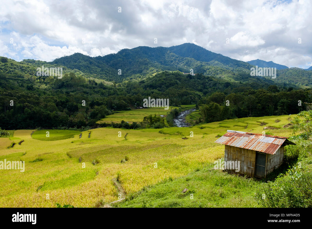 Eine Hütte mit Blick auf üppige Reisfelder in der Nähe von Mankell, Insel Flores (Nusa Tenggara Timur), Indonesien. Stockfoto