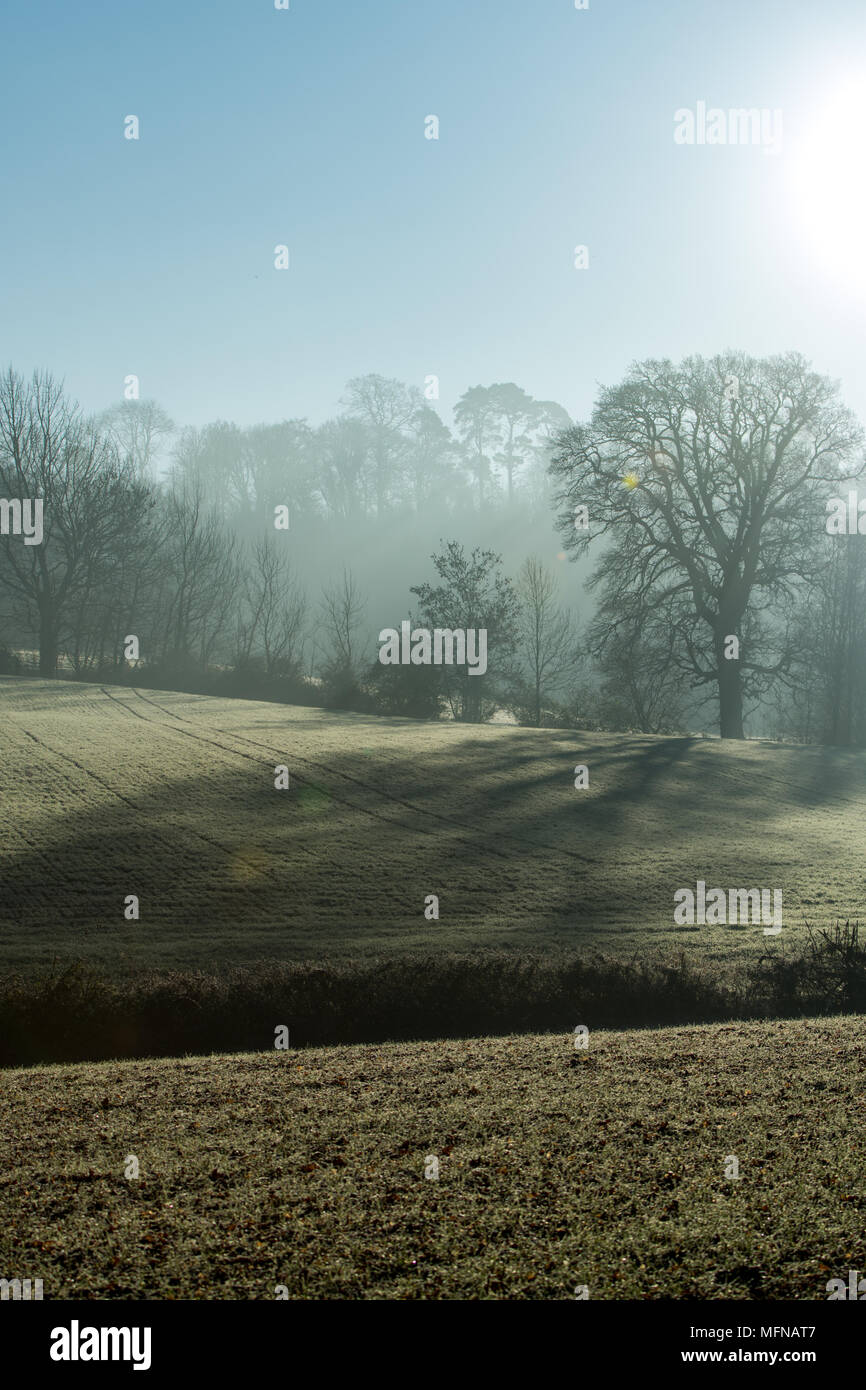 Eine perfekte Misty und frostigen Morgen in den Cotswolds Stockfoto