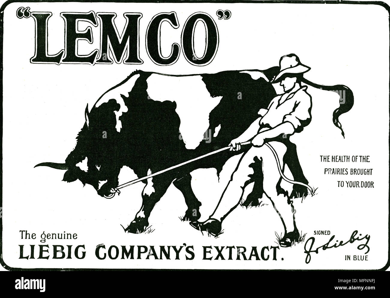 Werbung für "Lemco', Fleisch des Liebig Unternehmen extrahieren, aus 'Grafik', London, Oktober 1901. Die Markierungen auf der Seite der Bullen zeigen, Südamerika, weil die Liebig Fabrik in Uruguay war. Stockfoto