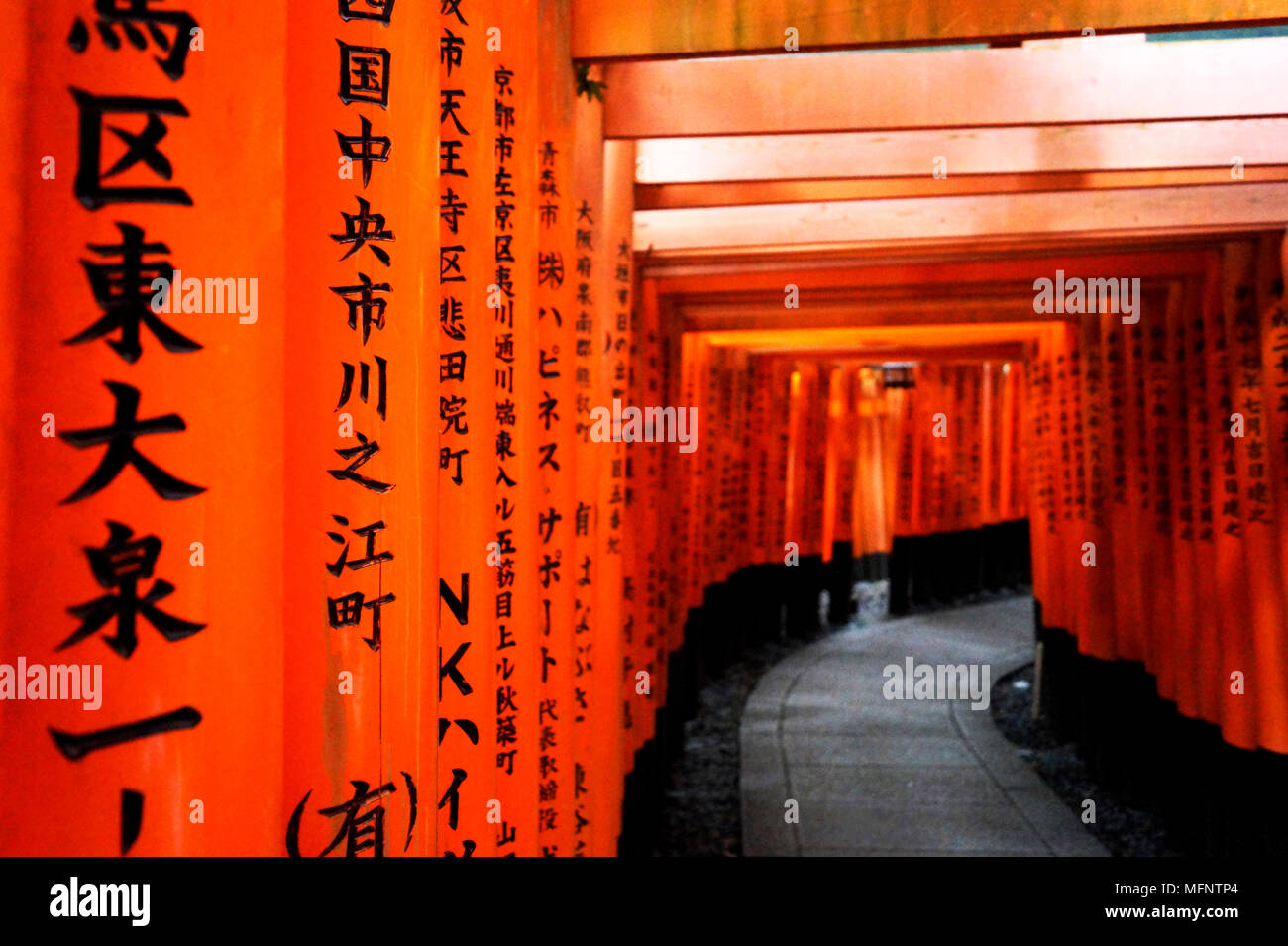 Tunnel der roten Torii-Tore Stockfoto