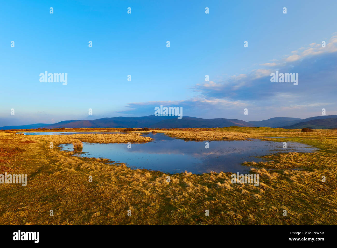 Pen Y Fan in die Brecon Beacons früh an einem Frühlingstag mit einem kleinen See im Vordergrund, Brecon Beacons National Park, Wales, Großbritannien Stockfoto