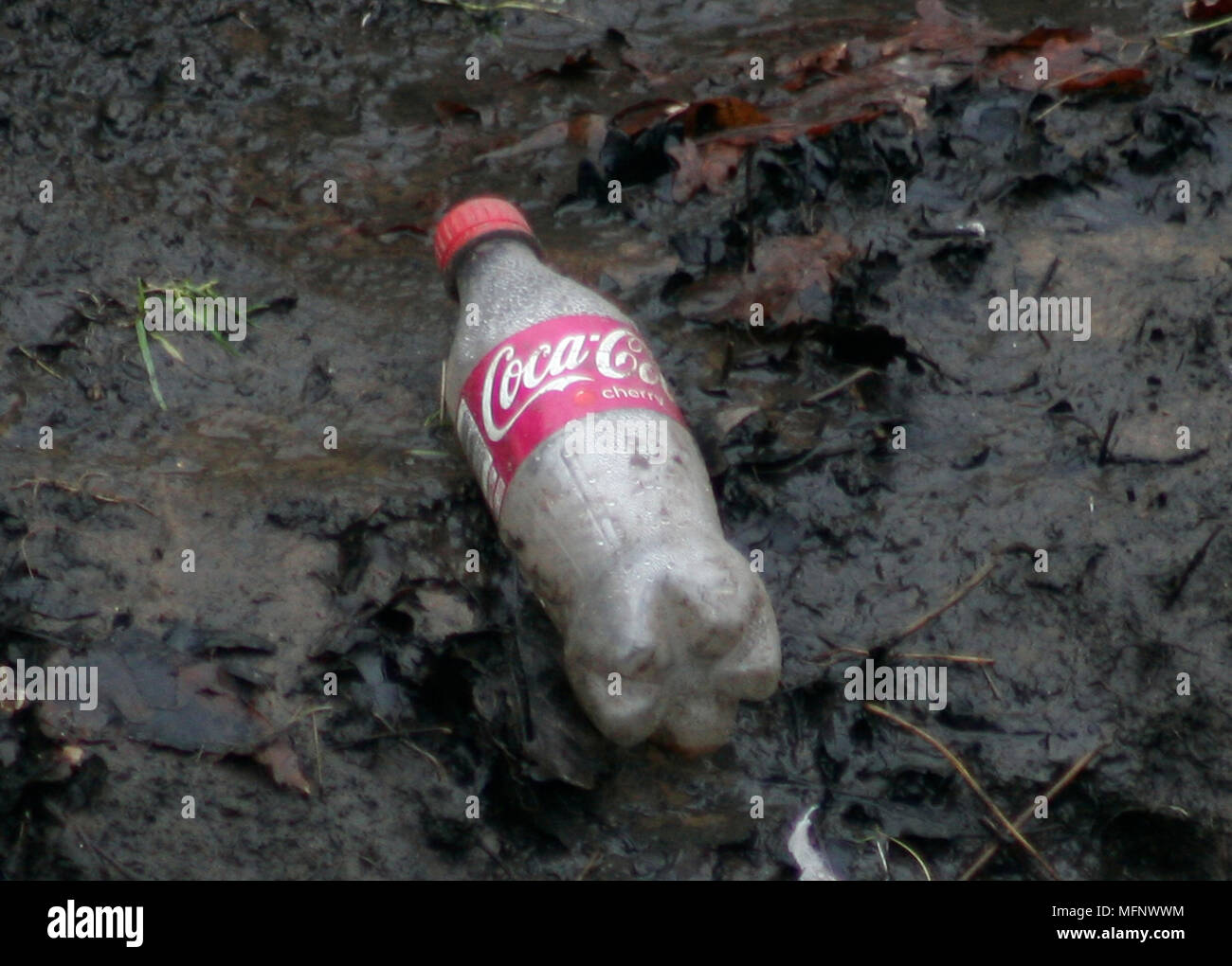 Eine weggeworfene Coca Cola Flaschen liegt am Ufer eines Baches in South West London Februar 12, 2016. Stockfoto