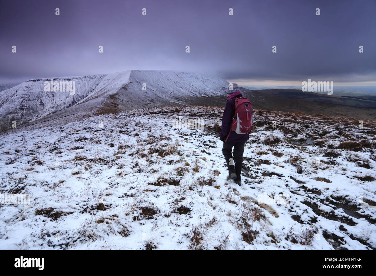 Zu Fuß über die Hügel in Richtung cairn Pica, Brecon Beacons, Wales. Stockfoto