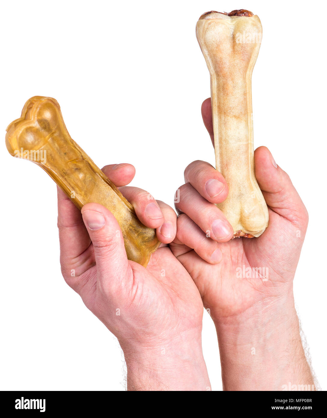 Hand mit Hund Knochen Stockfoto