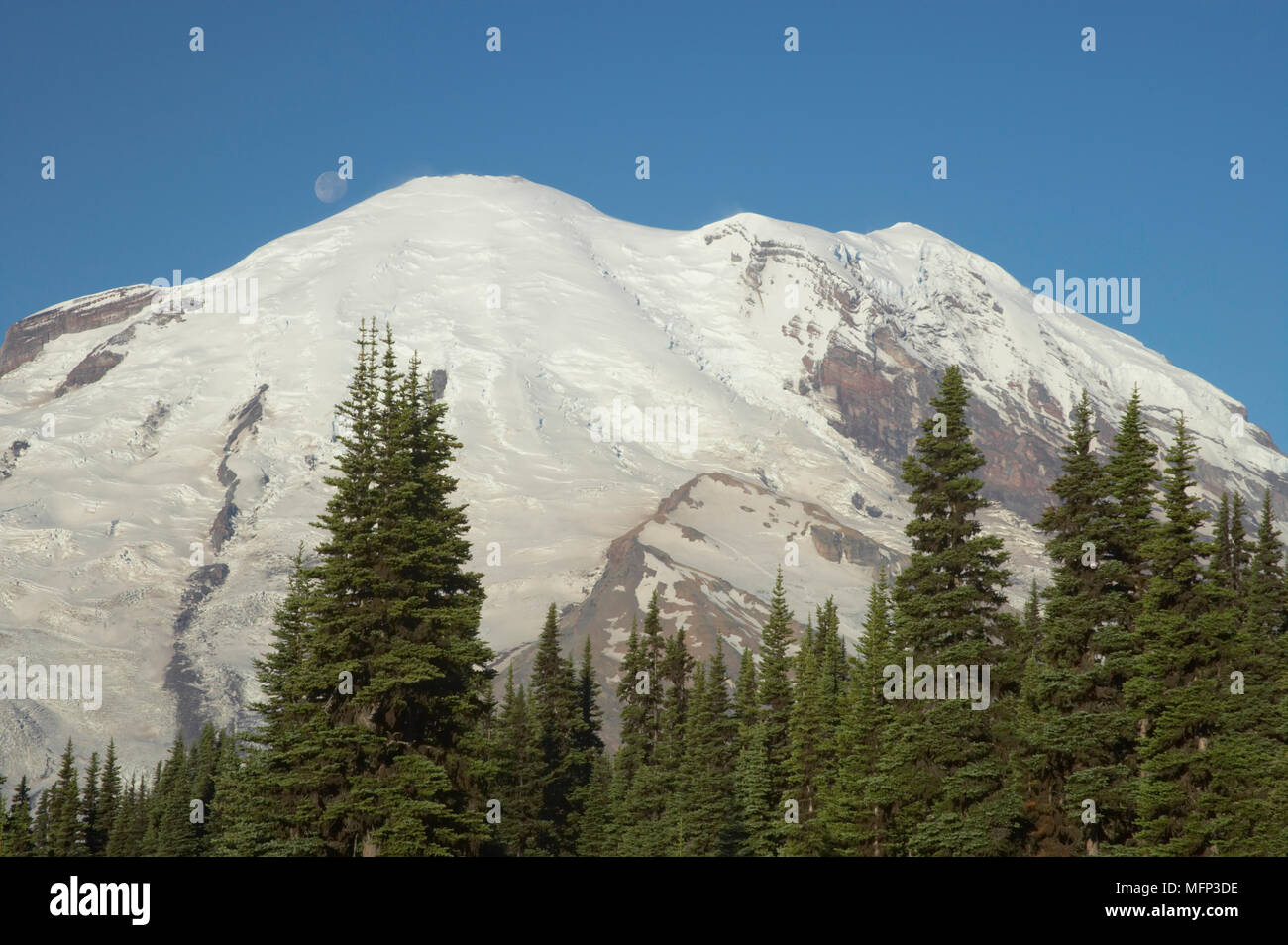 'Mount Rainier in der Dämmerung mit Mond Mount Rainier National Park Washington State Ref: CRB 419 10025 048 obligatorische Credit: Bill Coster/Photoshot Stockfoto
