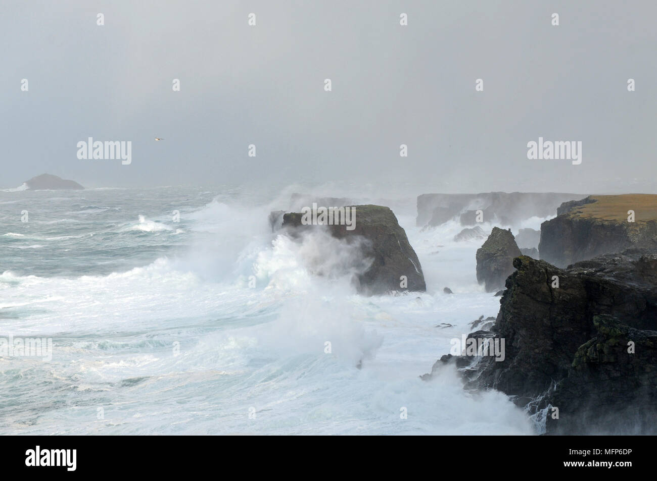 Angebot Wellen bei eshaness Klippen in der Shetland Insel während einer großen atlantischen Sturm Stockfoto