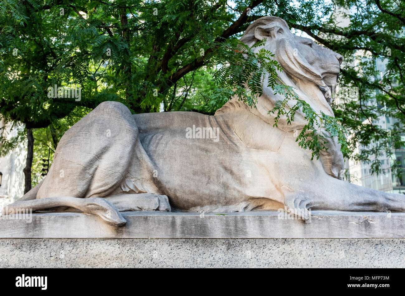 Einer der Löwen am Eingang der NYPL Stockfoto