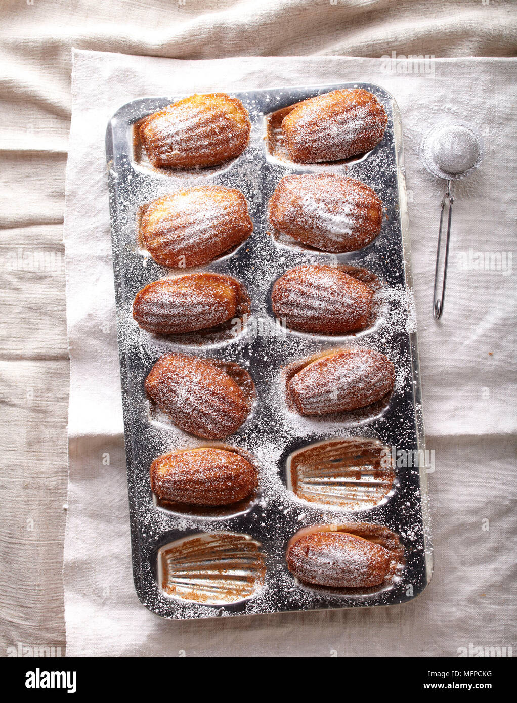 Madeleine Kuchen frisch aus dem Ofen mit Castor Zucker, Brooklyn, New York entstaubt, USA Stockfoto