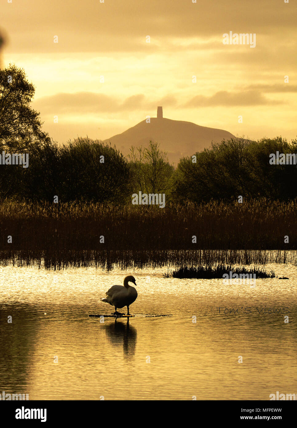 Glastonbury ist eine Stadt im Südwesten von England. Es ist für ihre antiken und mittelalterlichen Stätten bekannt, viele Reiche in Mythos. Glastonbury Tor ist ein Turm mit Marmorplatten Hill. Stockfoto