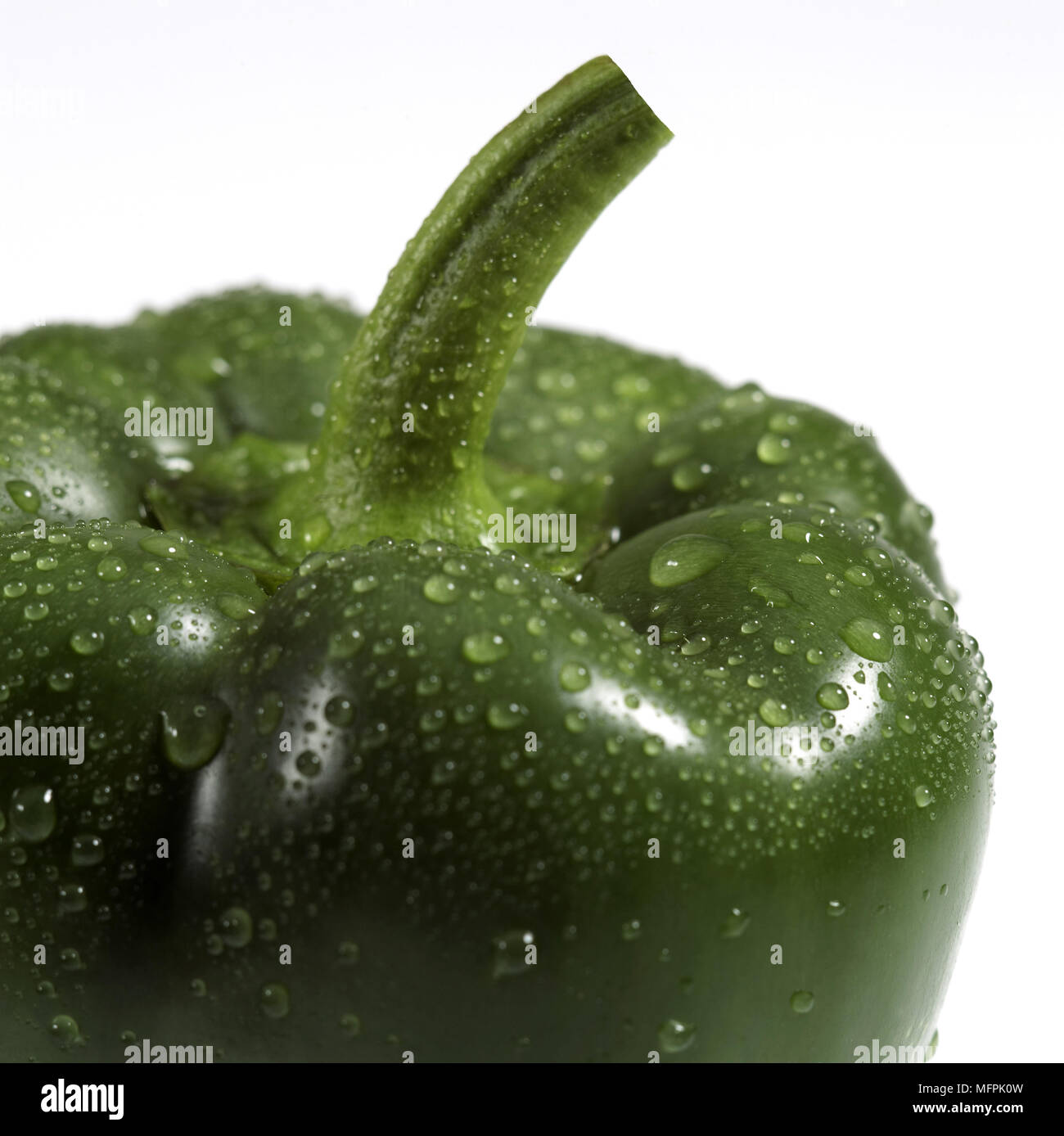 Süßer Grüner Pfeffer, Capsicum annuum, Gemüse vor weißem Hintergrund Stockfoto