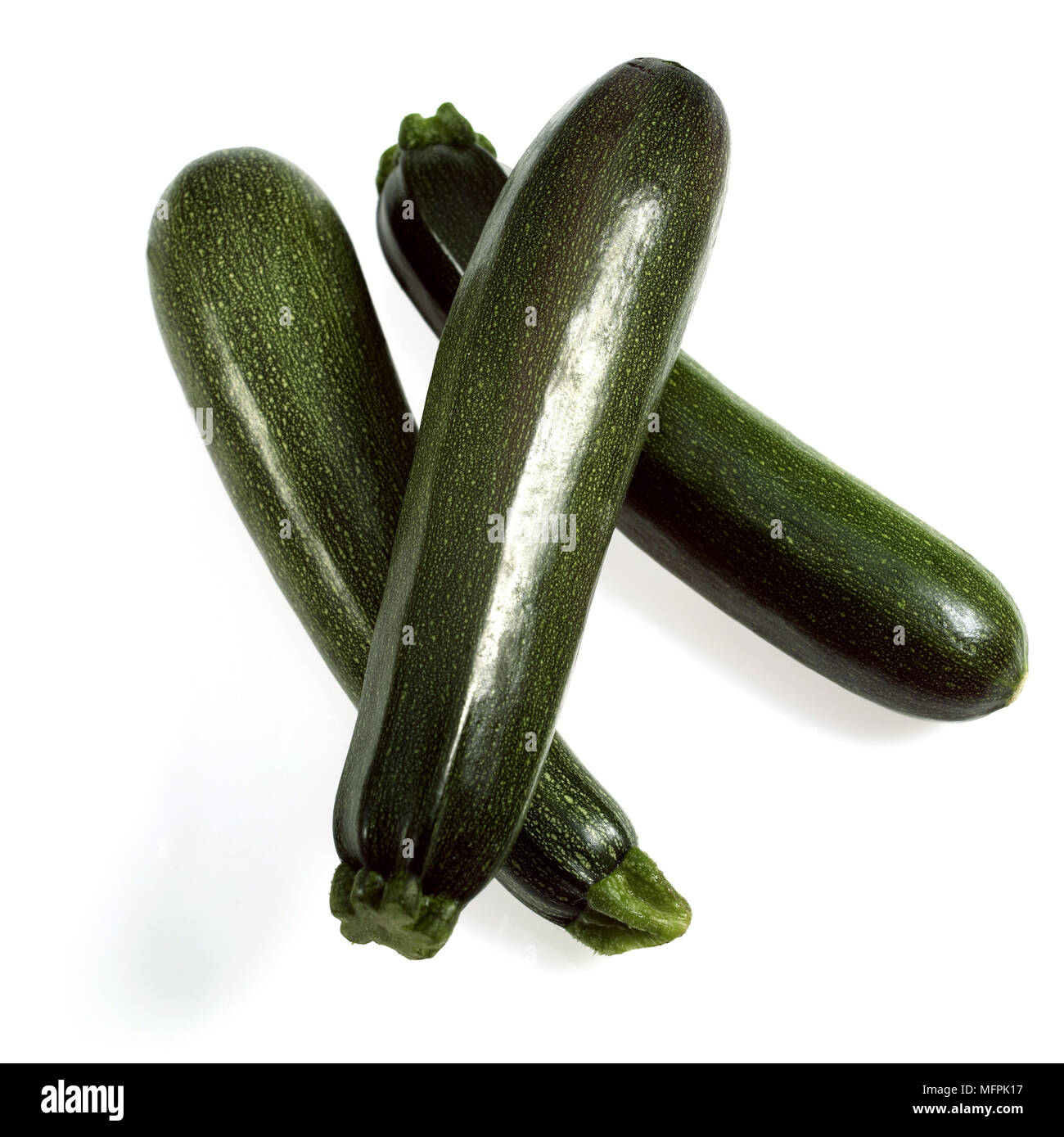 Lange Zucchini oder Zucchini, Cucurbita pepo, Gemüse vor weißem Hintergrund Stockfoto