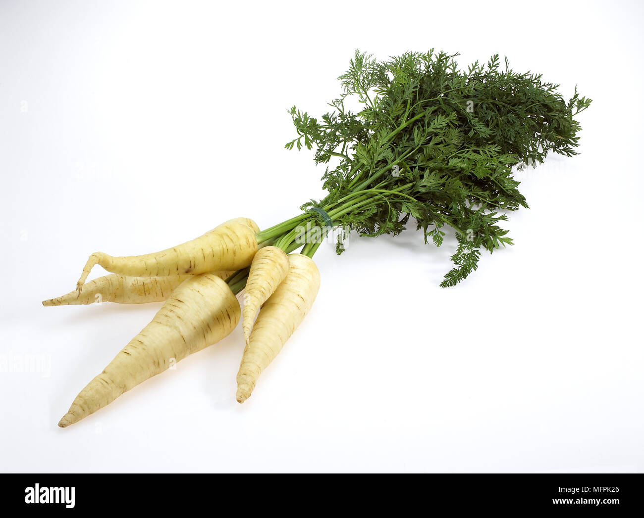 Weiße Möhre, Daucus Carota, Gemüse vor weißem Hintergrund Stockfoto