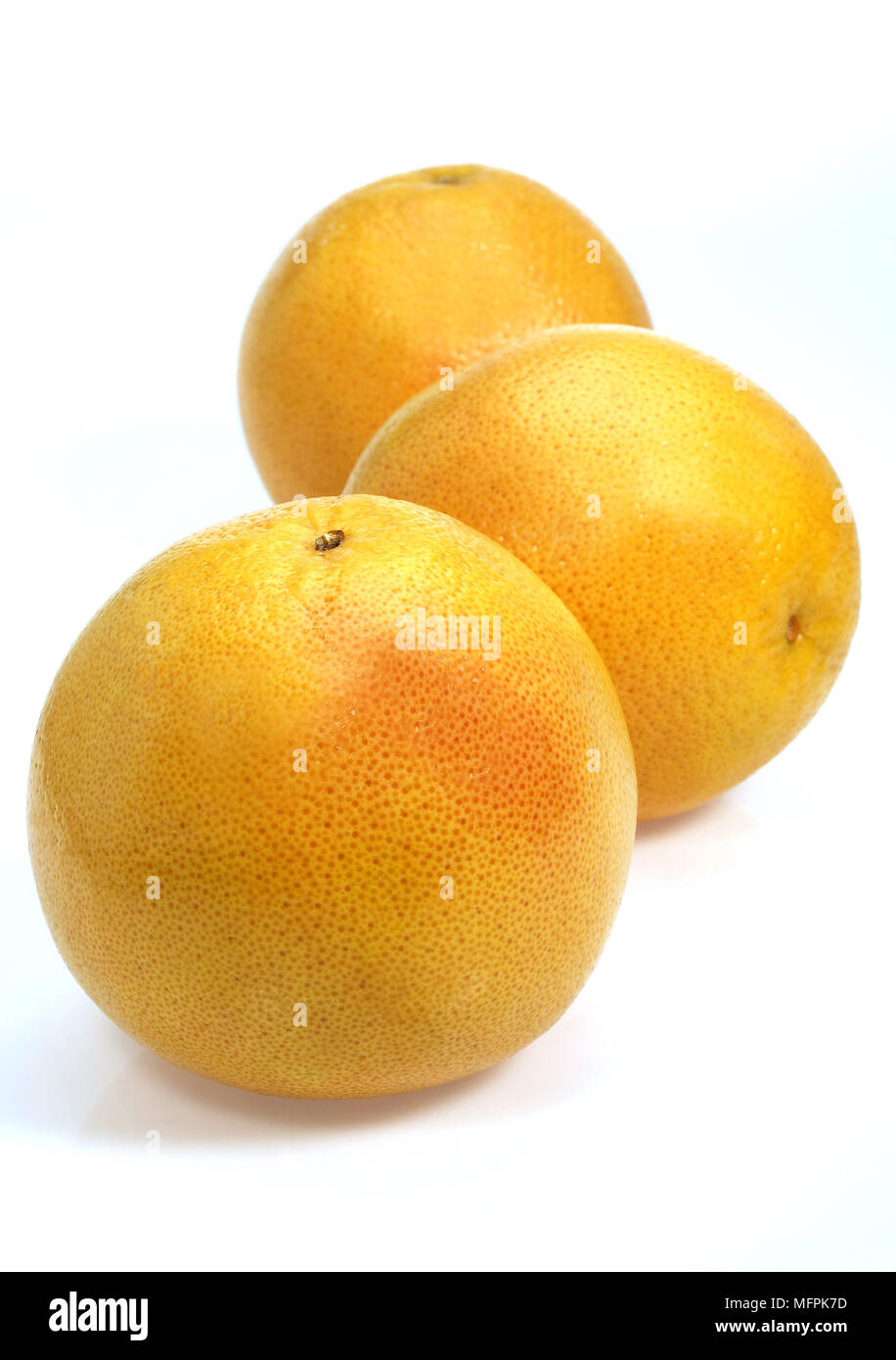 Pomelo, citrus Paradisi Früchte vor weißem Hintergrund Stockfoto