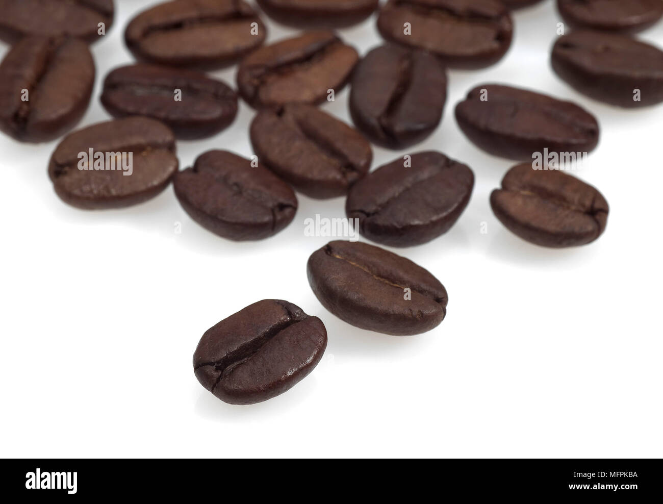 Kaffeebohnen, coffea arabica vor weißem Hintergrund Stockfoto