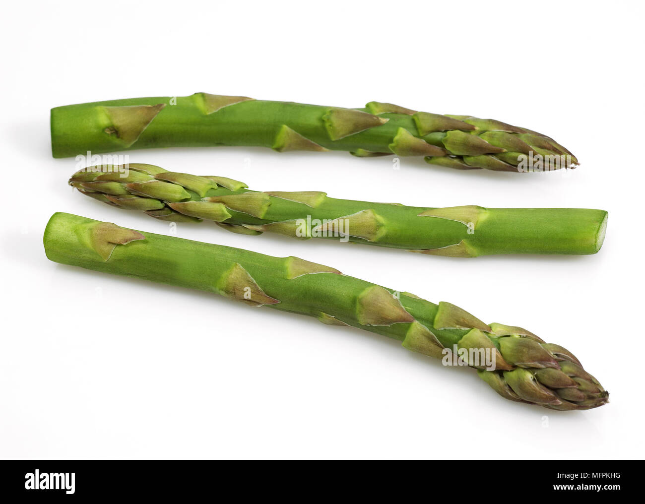 Grüner Spargel, Spargel Officinalis, Gemüse vor weißem Hintergrund Stockfoto