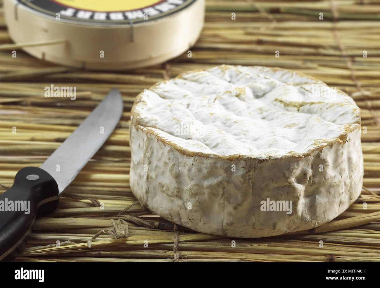 Camembert, französischen Käse produziert in der Normandie aus Kuhmilch Stockfoto