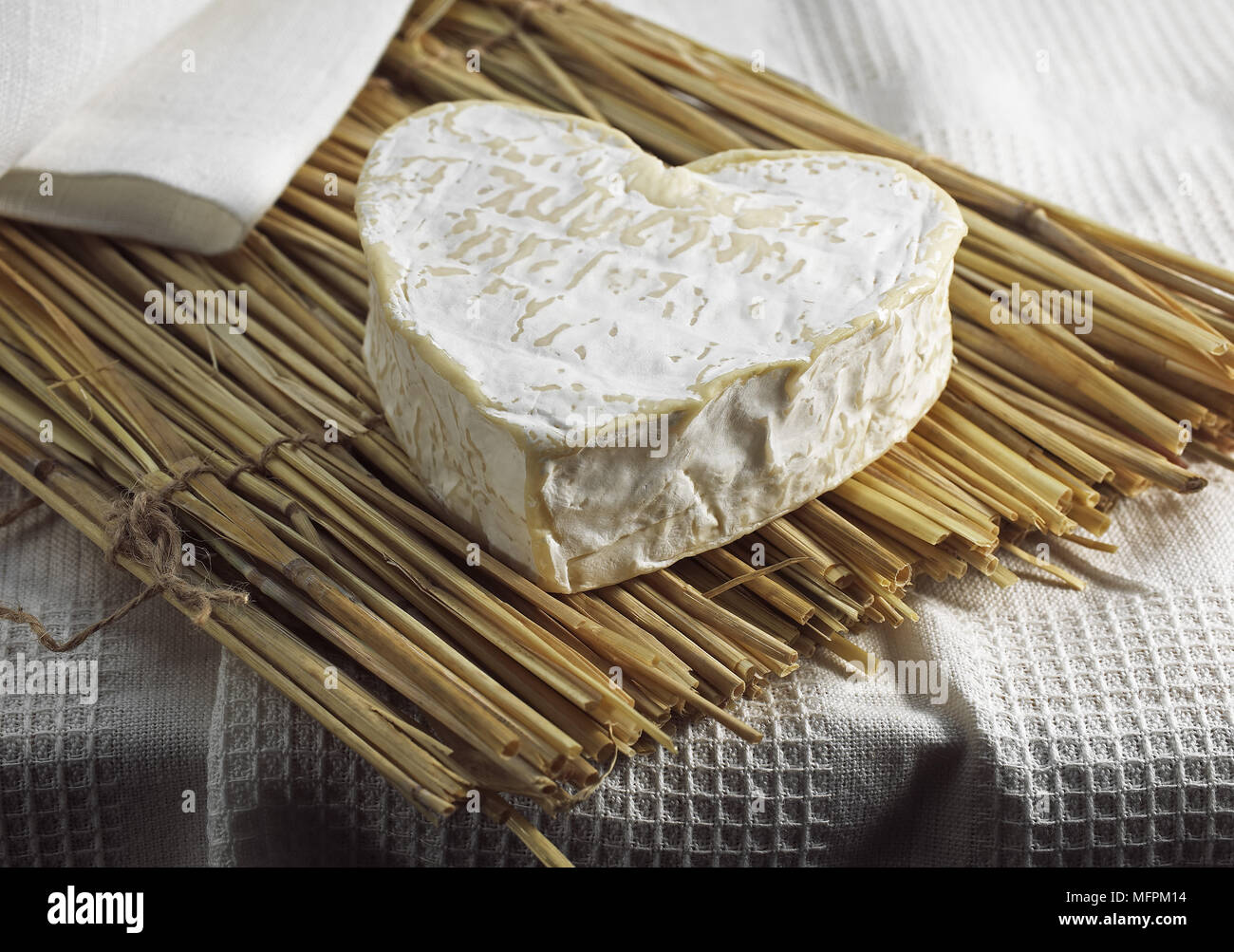 Neufchatel, französischen Käse produziert in der Normandie aus Kuhmilch Stockfoto