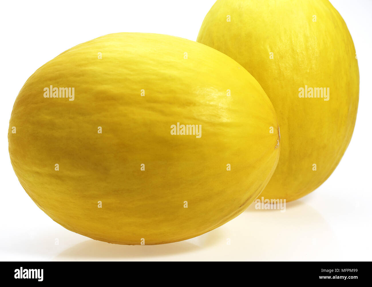 Gelbe spanische Melone, Cucumis Melo, Früchte vor weißem Hintergrund Stockfoto