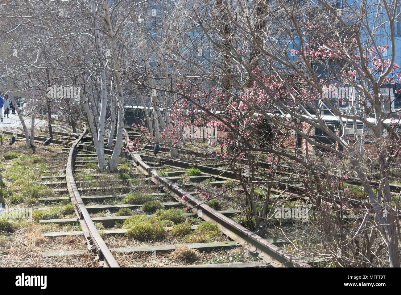 Eine Ansicht Von Die High Line Erhohten Laufsteg Der New Yorker 1 45 Meilen Von Architektur Landschaften Pflanzen Kunst Und Installationen Stockfotografie Alamy