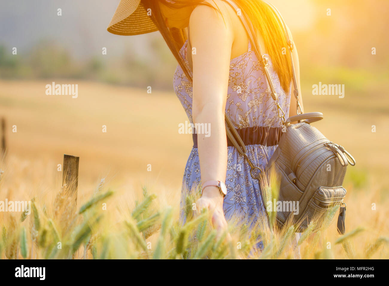 Frau zu Fuß durch gelbe Gerste Weizen Feld Stockfoto