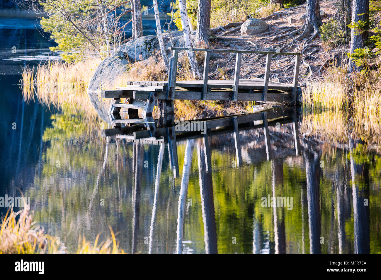 Hölzerne Seebrücke Reflexionen, Nuuksio Nationalpark, Espoo, Finnland, Europa Stockfoto