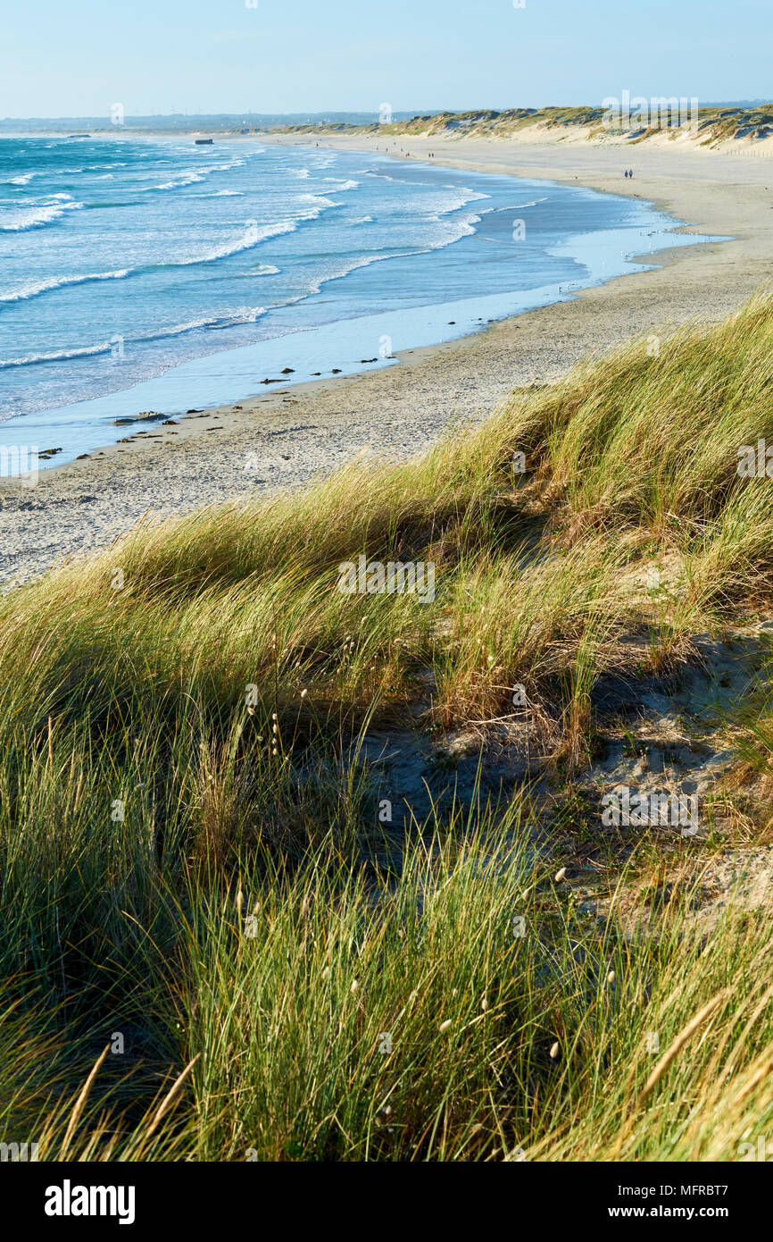 Der windigen Bretonischen Küste mit Strand und Dünen. Stockfoto