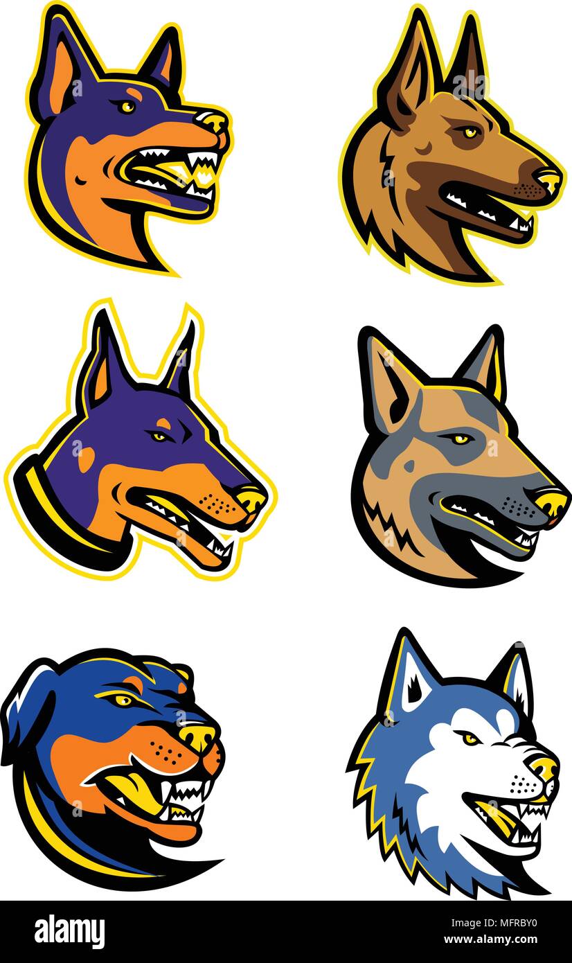 Maskottchen Symbol Abbildung der Staats wachhunde wie die Australische Kelpie, Belgische Malinois, Dobermann Hund, Deutscher Schäferhund, Rottweiler ein Stock Vektor