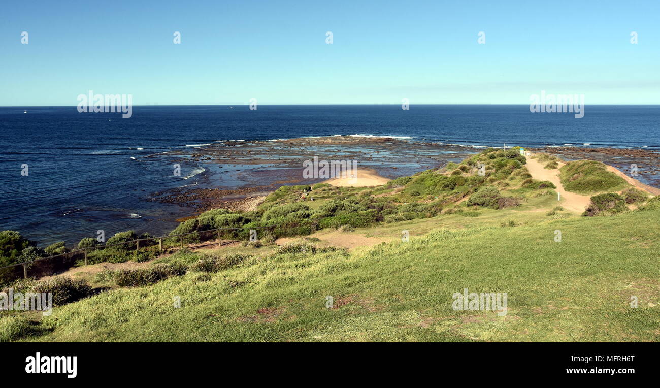 Long Reef Strand bei Ebbe (Sydney, NSW, Australien) Stockfoto