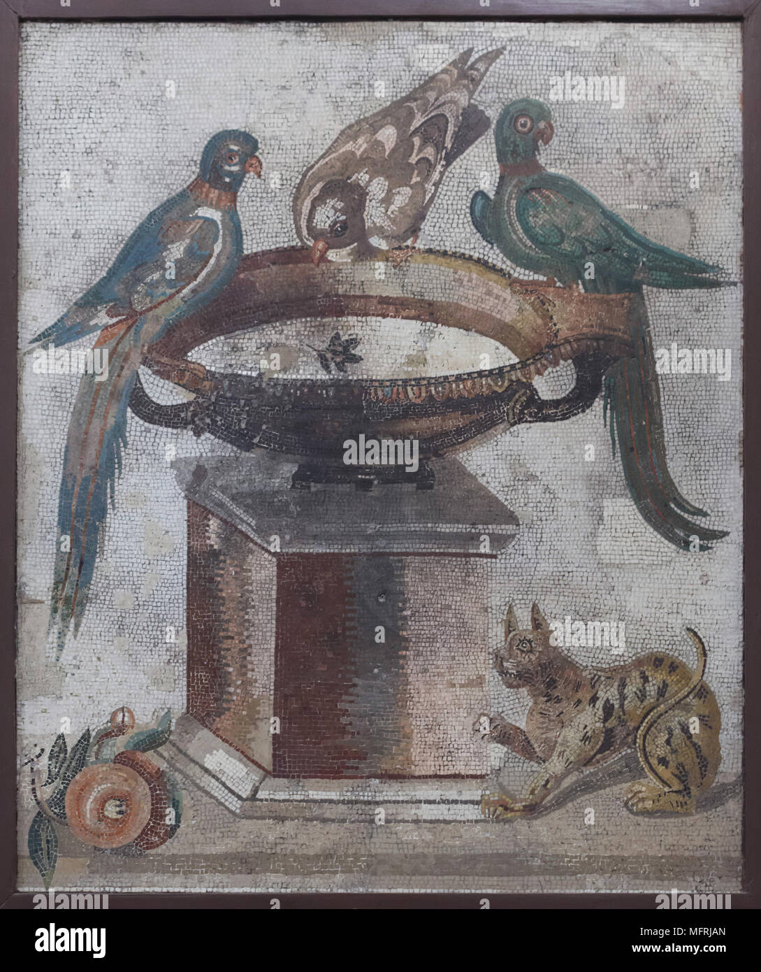 Katzen und Papageien in der römischen Mosaik aus Capua Vetere Santa Maria in der Provinz Caserta dargestellt, nun im Nationalen Archäologischen Museum (Museo Archeologico Nazionale di Napoli) in Neapel, Kampanien, Italien. Stockfoto