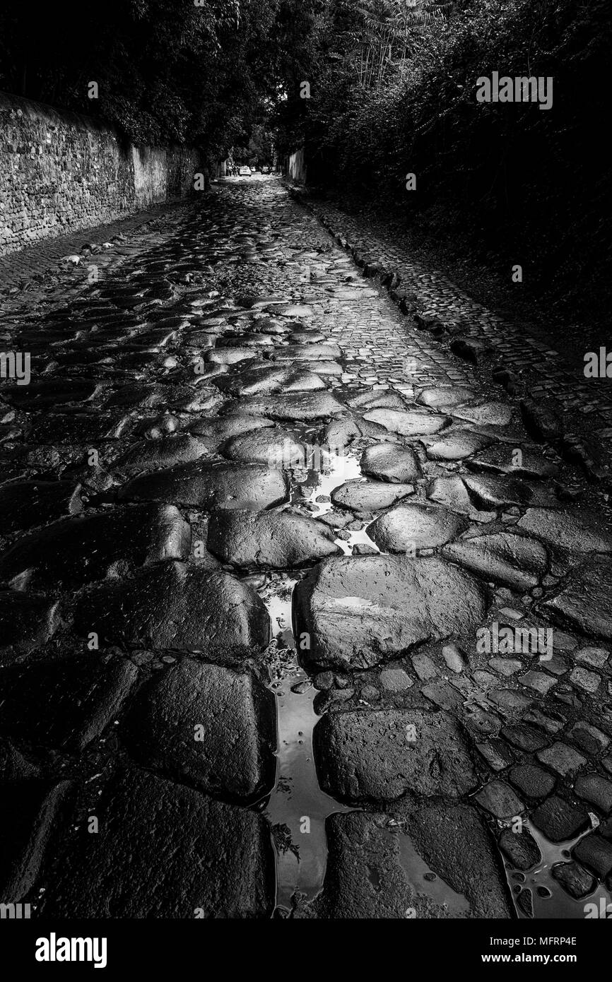 Nasse Pflastersteine, Via Appia Antica, Rom, Latium, Italien Stockfoto