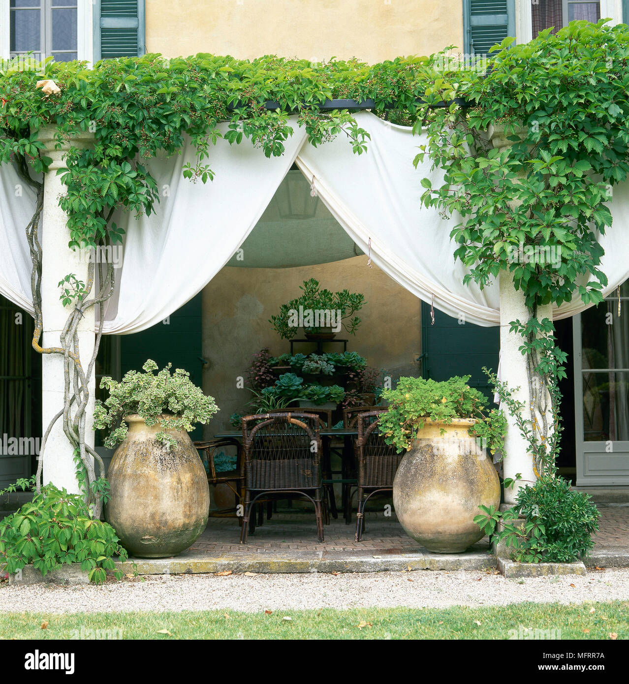 Mit Wein bewachsenen Terrasse Essbereich mit drapierten Stoffen, Spalten und Topfpflanzen. Stockfoto
