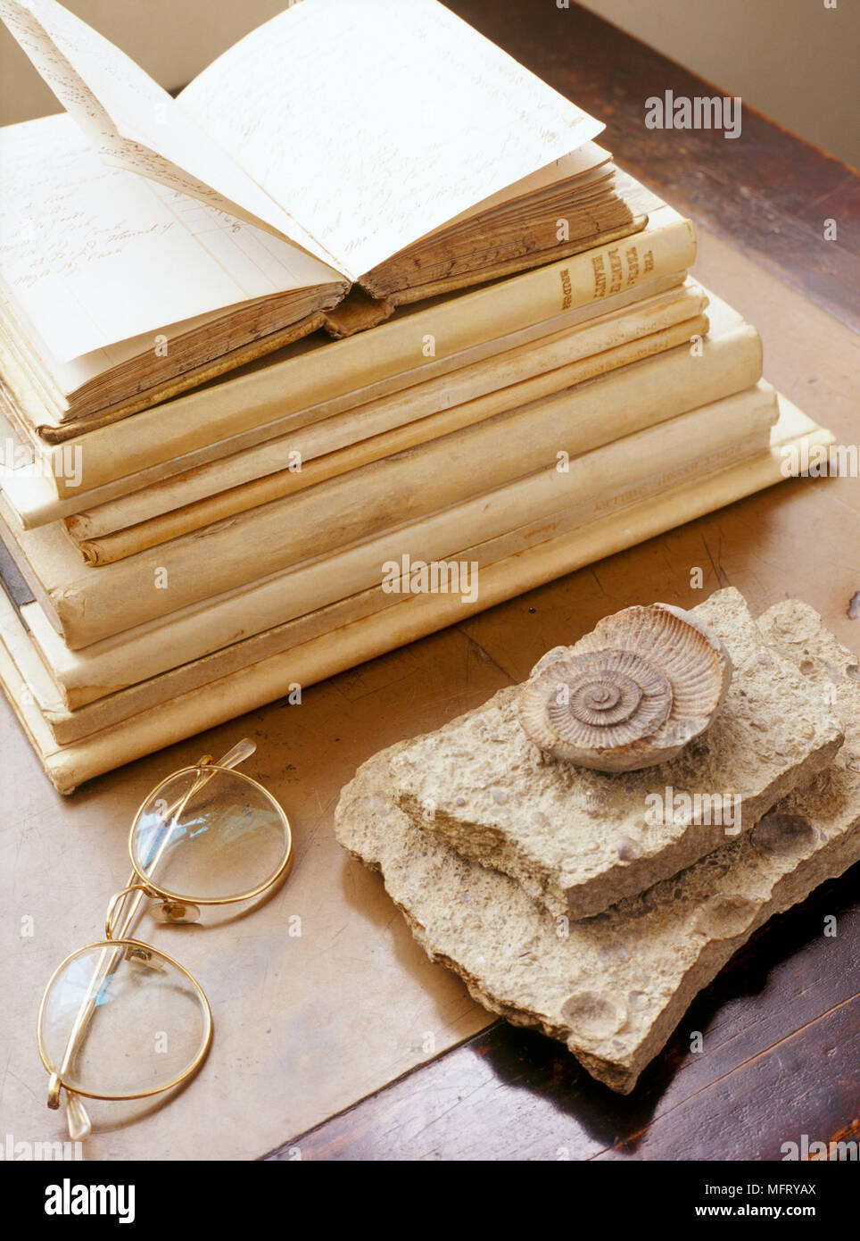 Ein Detail zeigt ein Display aus einem Stapel von antiken Büchern eine Brille und die Ammoniter fossilen; Stockfoto
