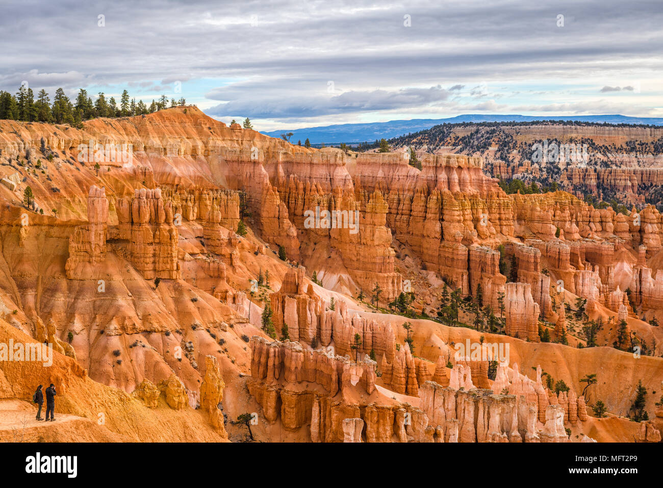 Bryce-Canyon-Nationalpark, Utah, USA. Stockfoto