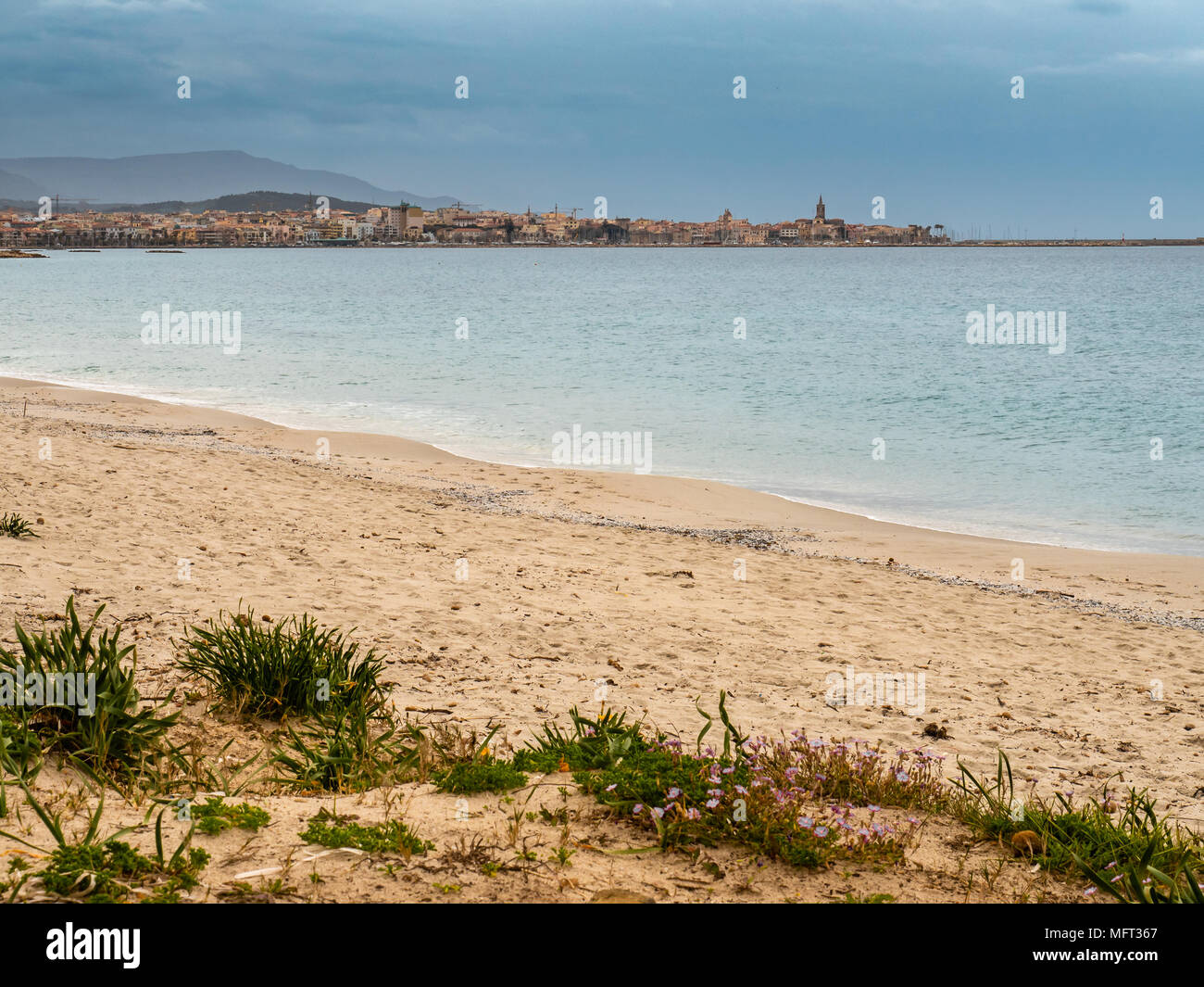 Sand Strand in der Nähe der Altstadt von Alghero, Sardinien, Italien Stockfoto