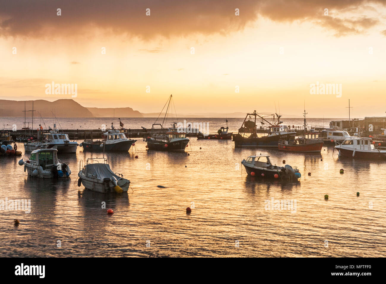 Sonnenaufgang über dem Hafen in Lyme Regis in Dorset, Großbritannien. Stockfoto