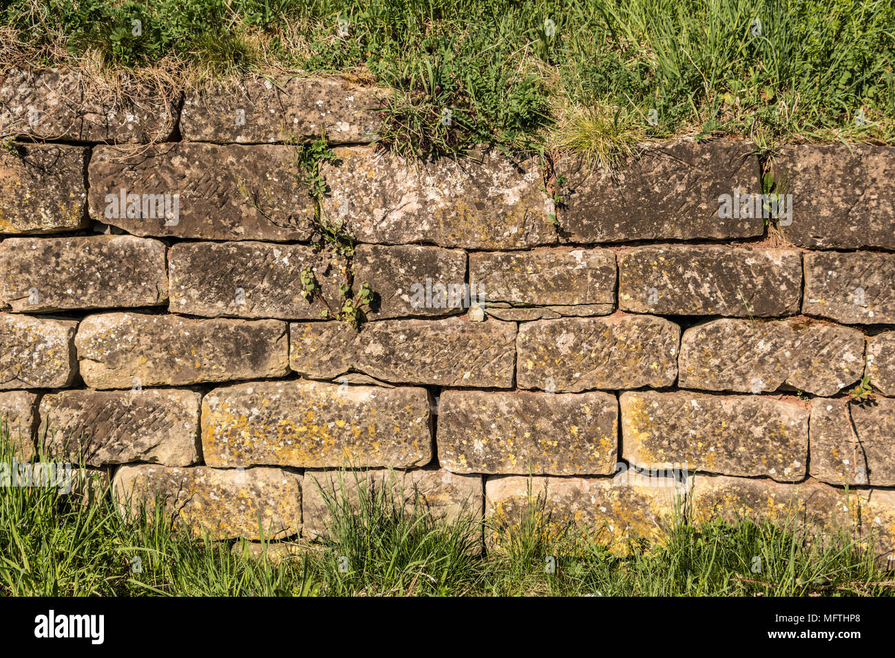 Steinmauer in der Mitte des Gartens Stockfoto