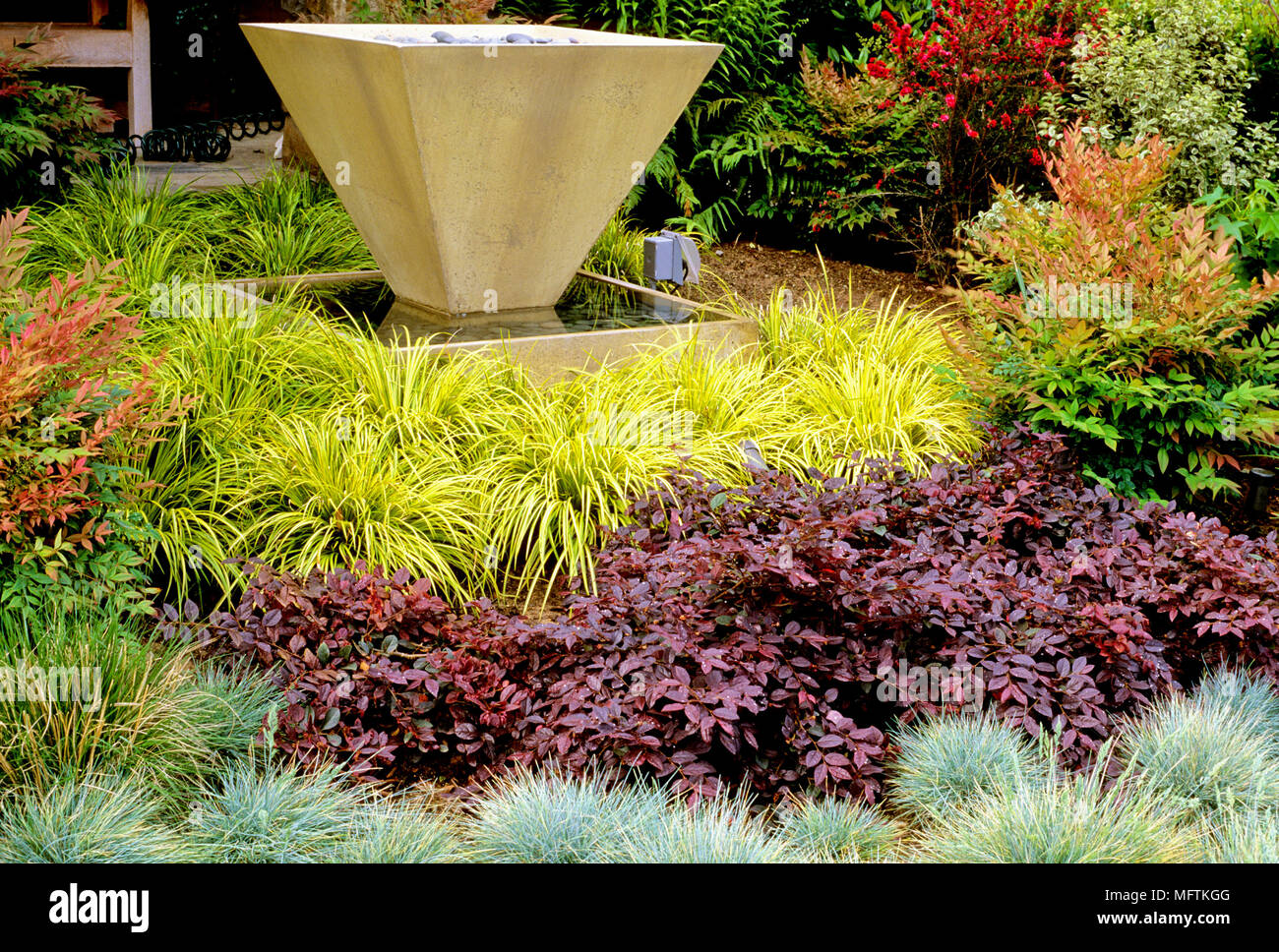 Eine dekorative Springbrunnen umgeben von Pflanzungen von Nandina domestiica "Gulfstream", Acorus gramineus 'Ogon' Ajuga reptans, & Loropetalum chinense ssp r Stockfoto