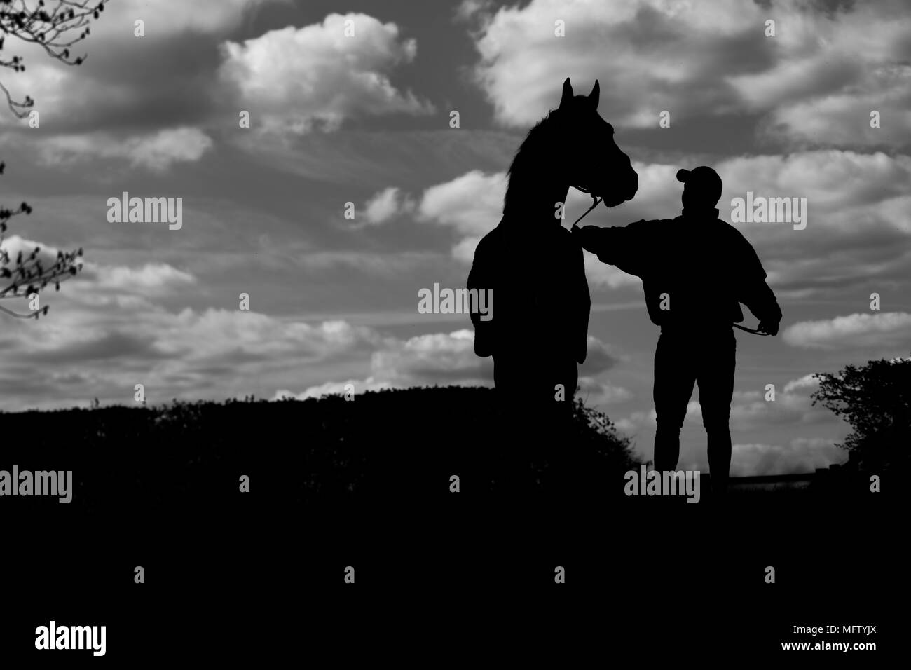 Pferd Und Reiter Silhouette Stockfotografie Alamy