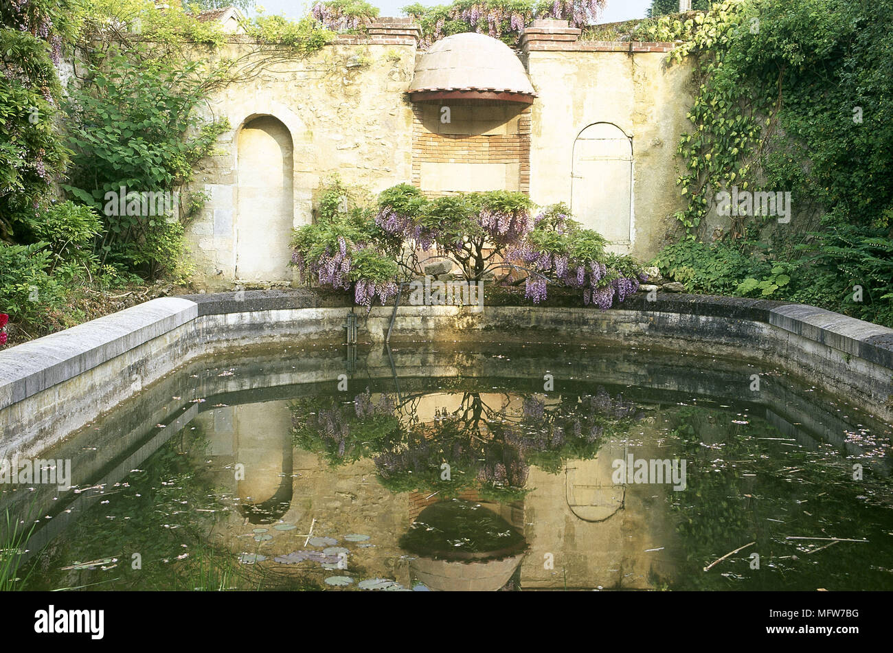 Ummauerten garten Teich Wisteria Gärten Teiche Wasser bietet abgeschiedenen privaten Stockfoto