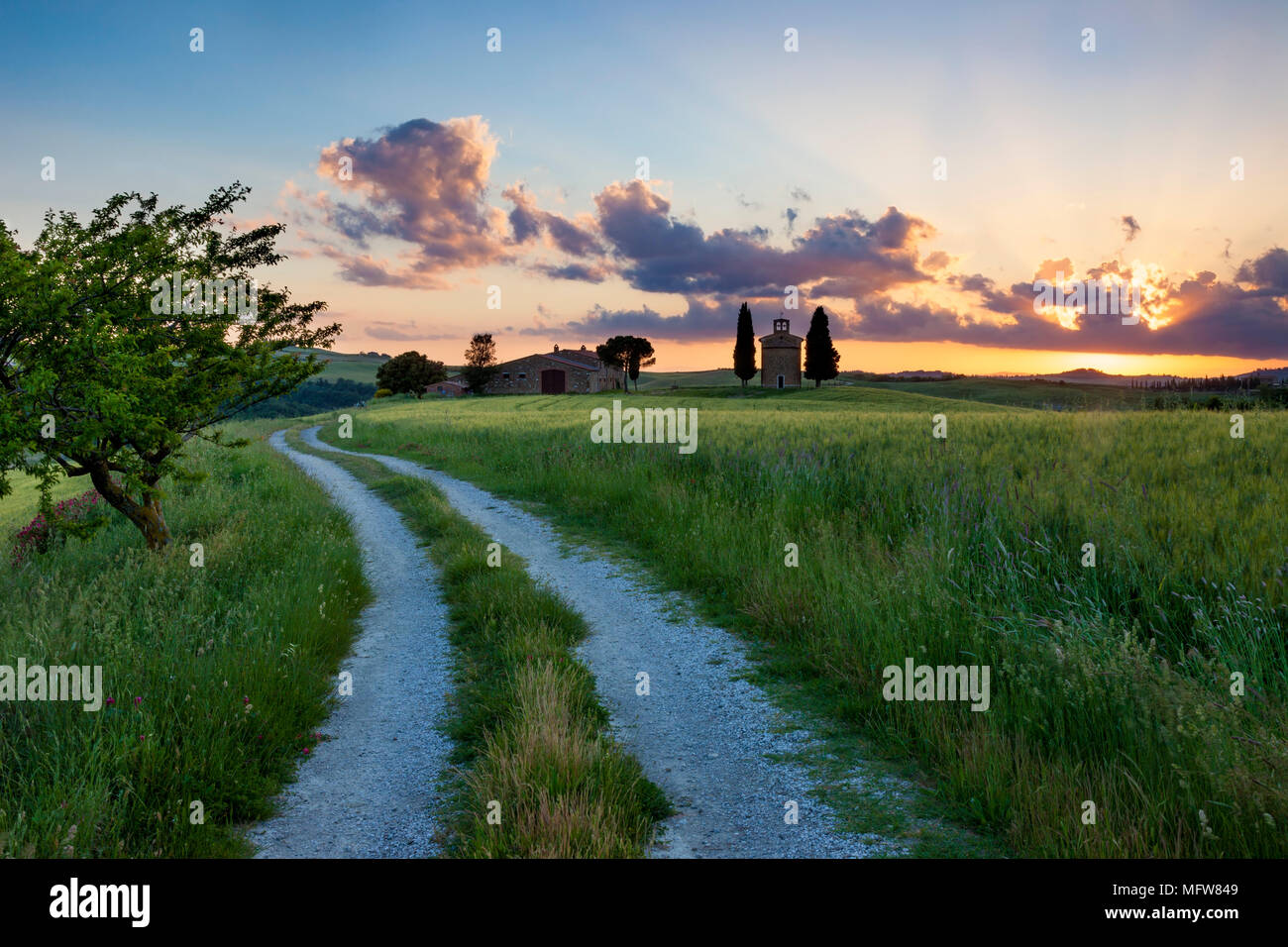 Feldweg führt zu Cappella di Vitaleta und die toskanische Landschaft bei Sonnenuntergang in der Nähe von San Quirico d'Orcia, Toskana, Italien Stockfoto