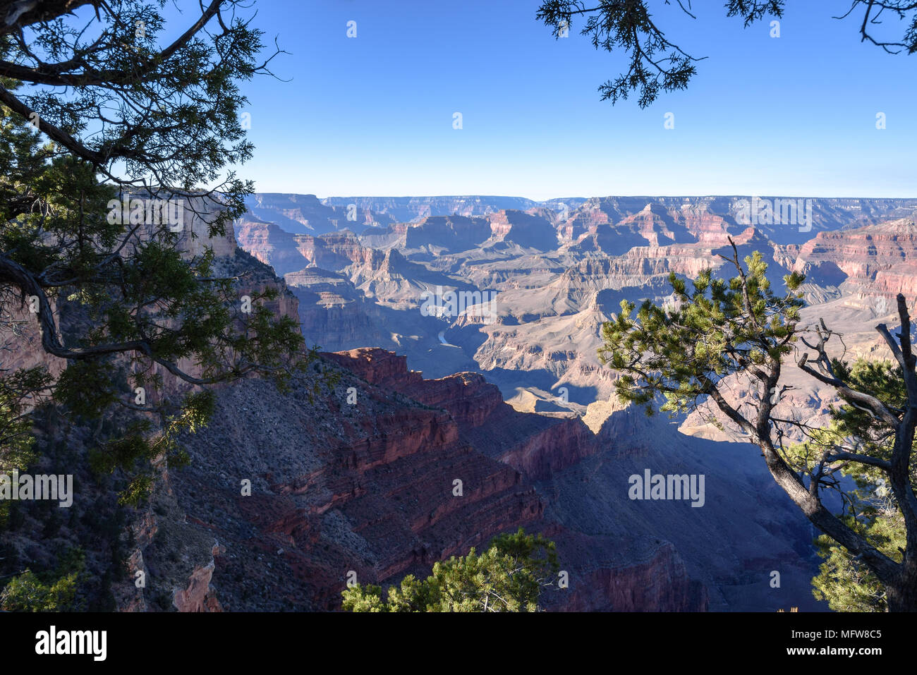 Der Colorado River fließt durch den Grand Canyon als vom South Rim gesehen Stockfoto