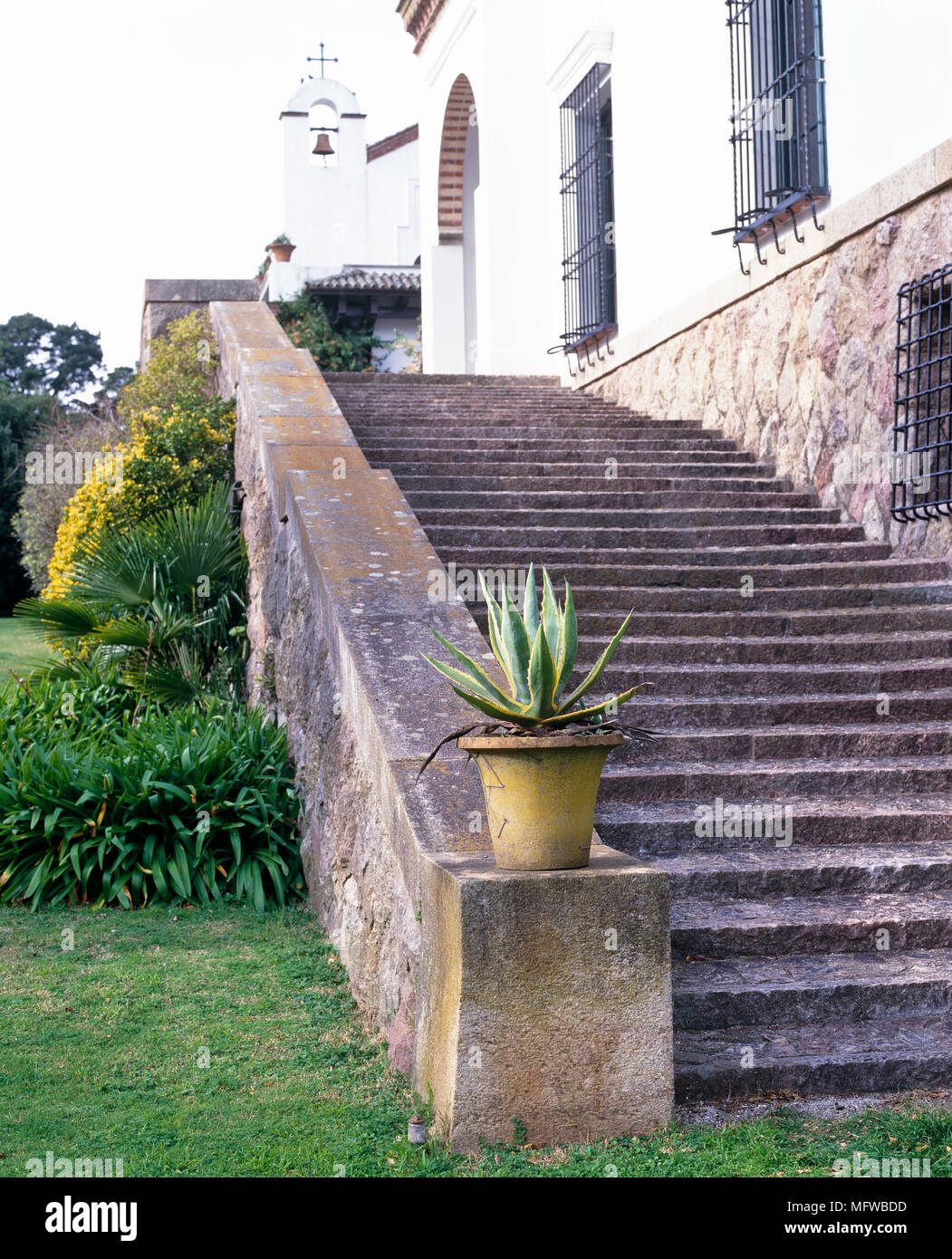Spikey Pflanze im Topf an der Basis der steinerne Stufen bis zur Villa Stockfoto