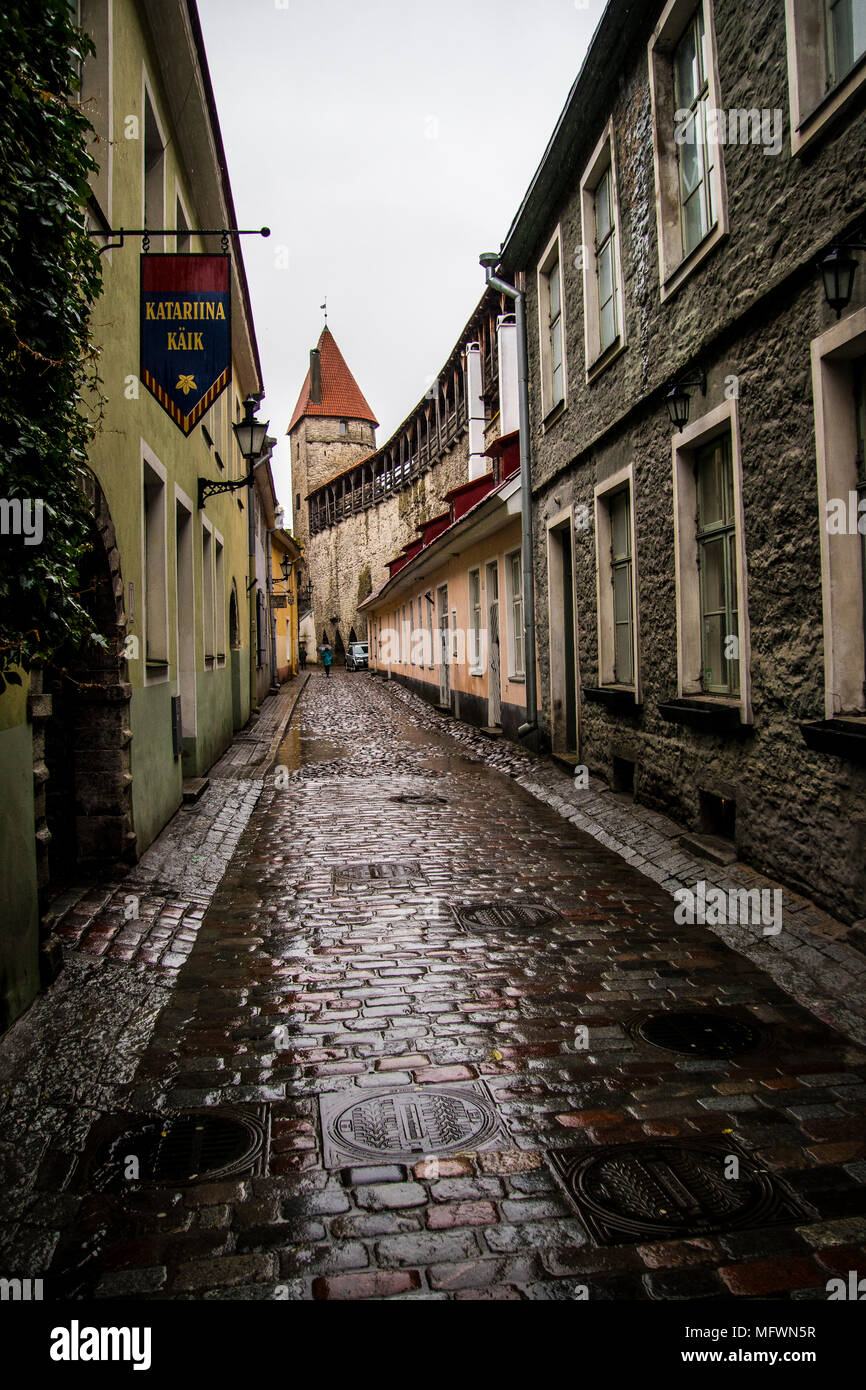 Altstadt von Tallinn, Estland, Europa Stockfoto