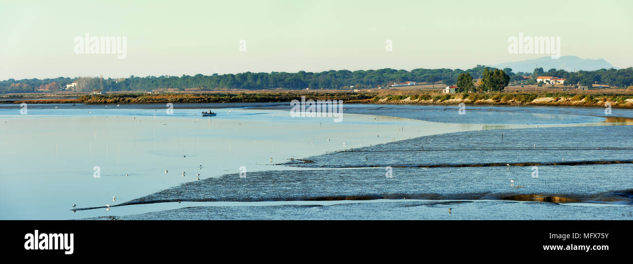 Die Sümpfe der Mündung des Sado Naturschutzgebiet in Zambujal. Portugal Stockfoto