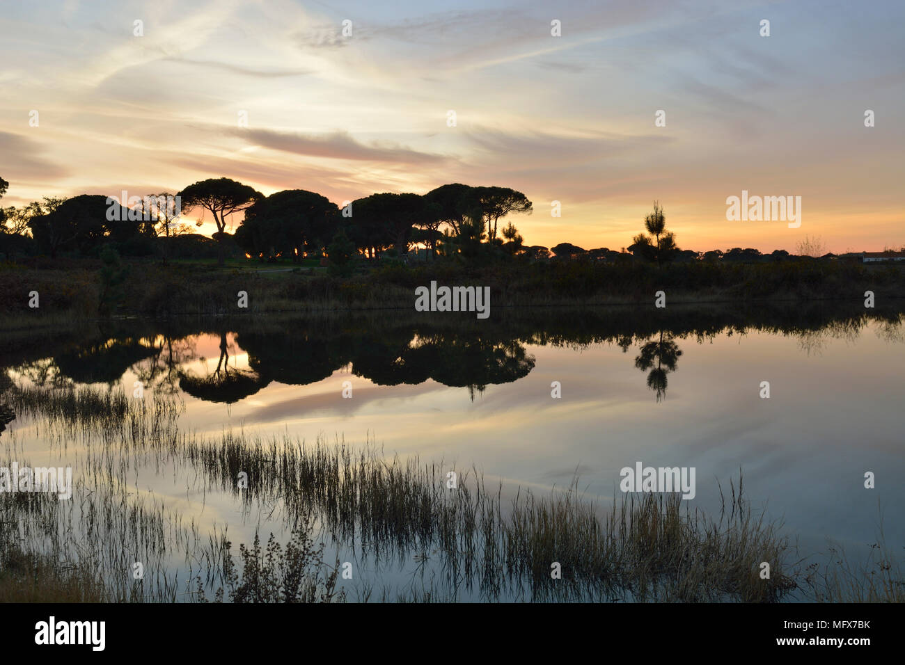 Sado Naturschutzgebiet bei Sonnenuntergang. Portugal Stockfoto