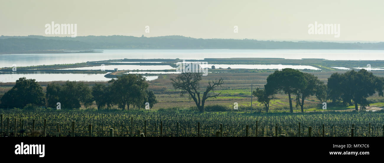 Den Fluss Sado in der Mündung des Sado Nature Reserve. Portugal Stockfoto