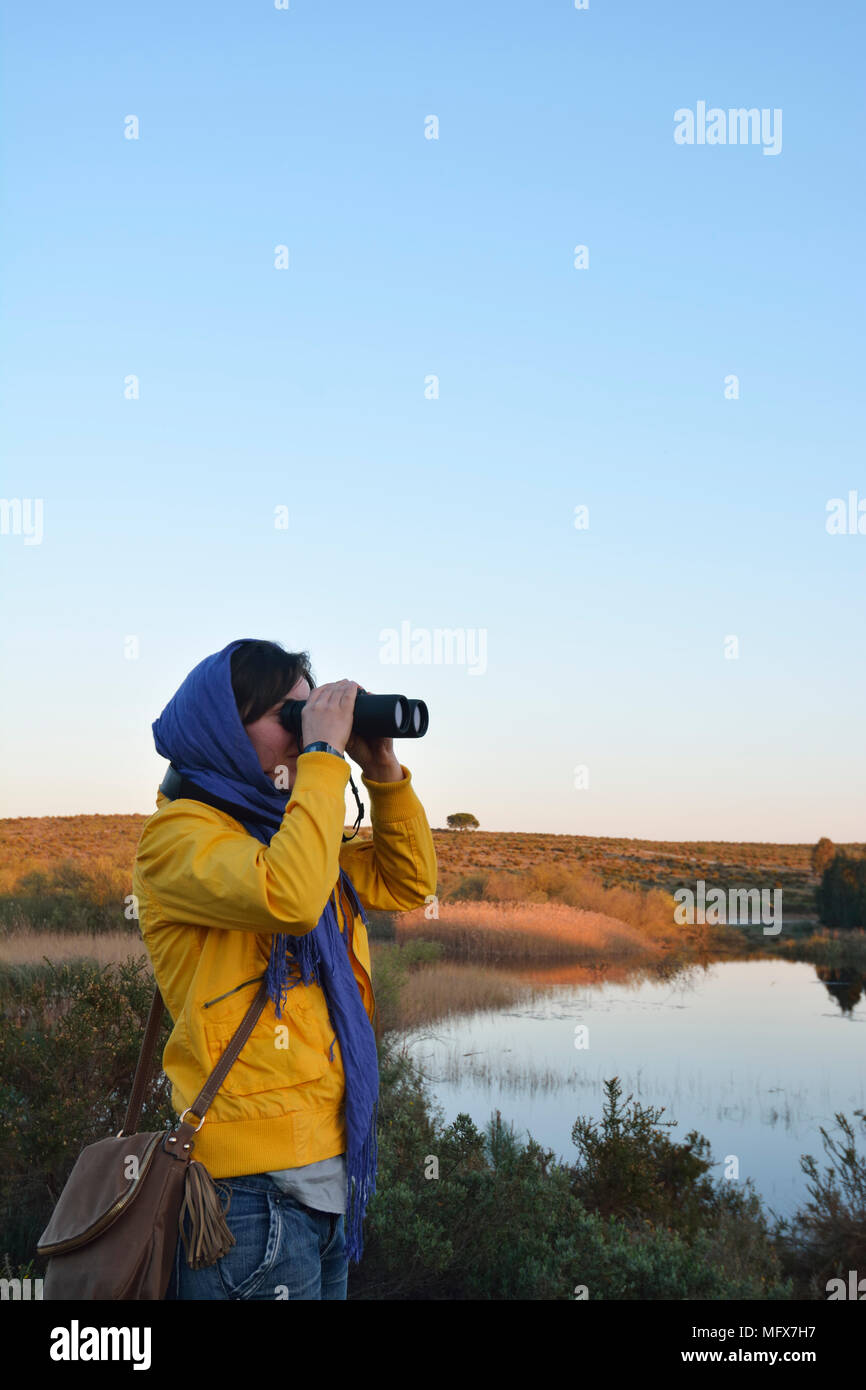 Vogelbeobachtung in der Mündung des Sado Nature Reserve. Portugal Stockfoto