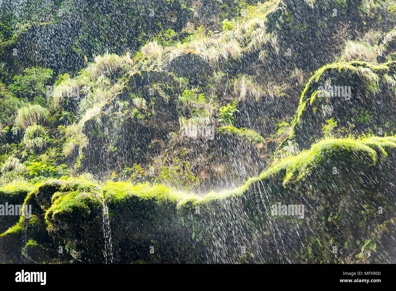 Green Moss Wasserfall als natürliche Zusammenfassung Hintergrund Stockfoto