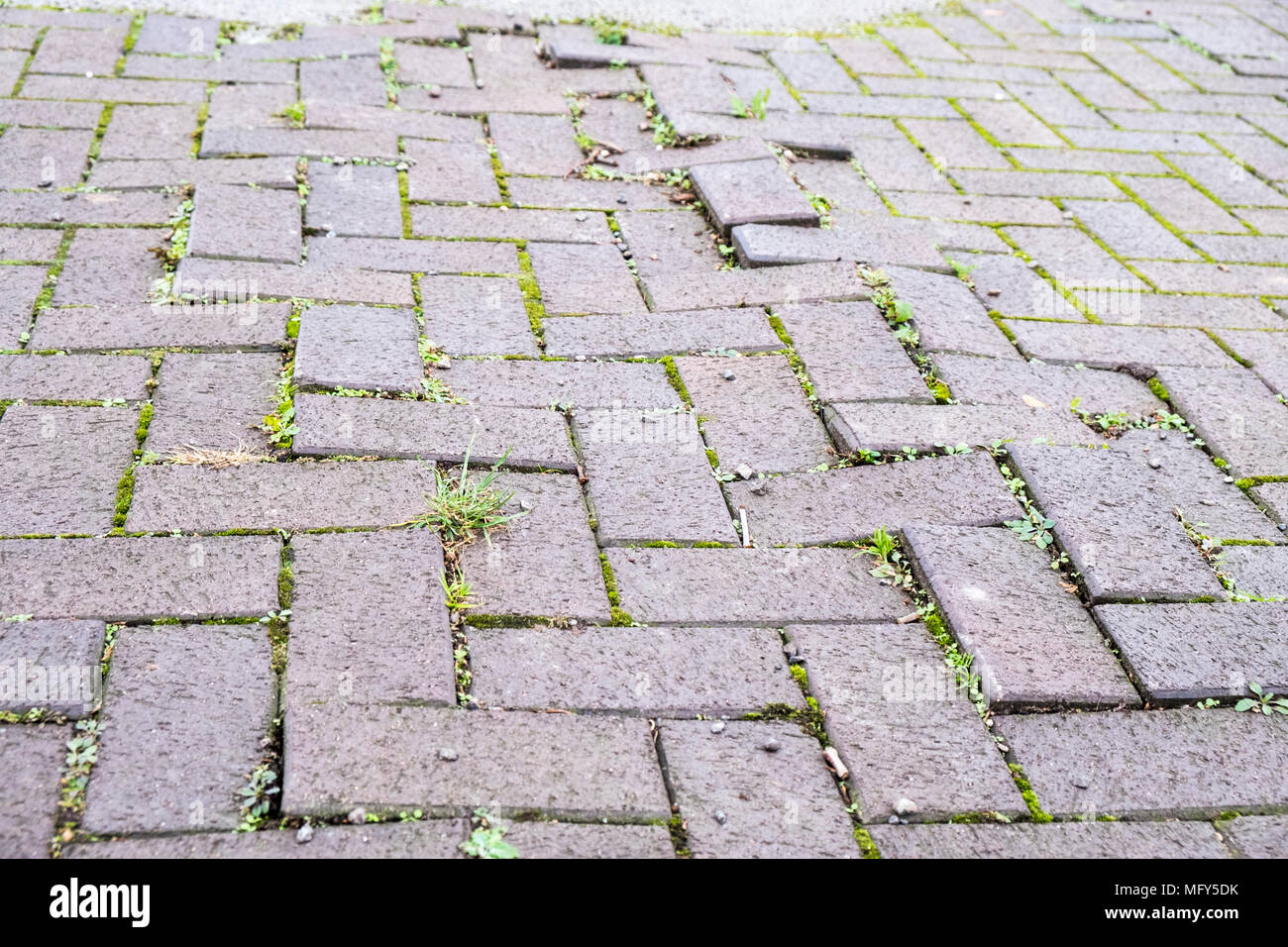 Unebenen weg. Beschädigte oder schlecht Block ebnet mit Unkraut wachsen durch, Nottingham, England, Großbritannien Stockfoto