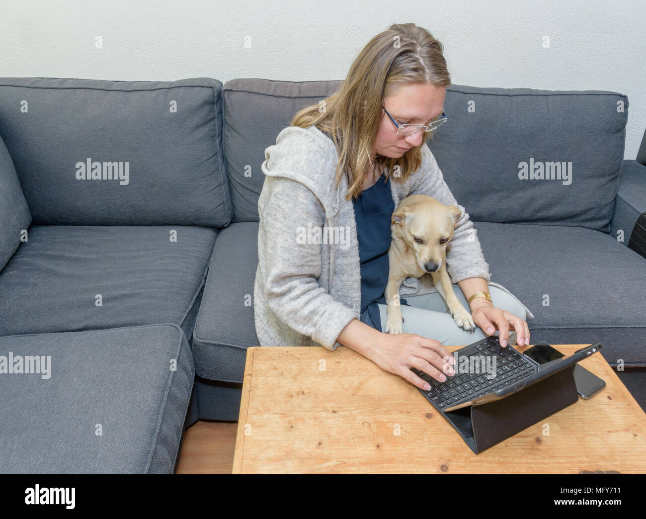 Eine Frau mittleren Alters zu Hause mit ihren Laptop mit ihrem Hund auch auf den Bildschirm Stockfoto